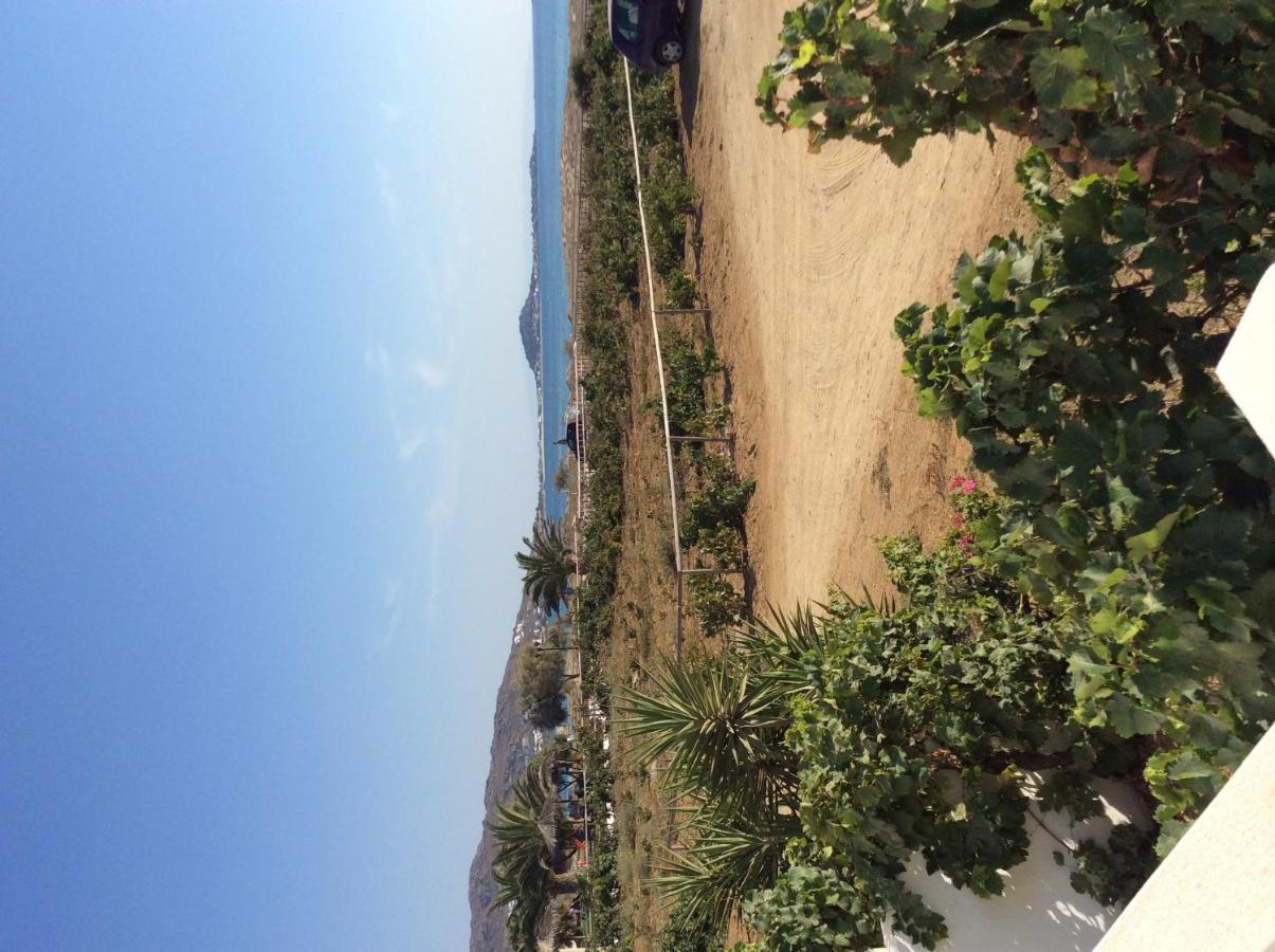 Aronis Plaka Naxos Apartment Bagian luar foto