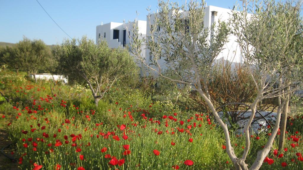Aronis Plaka Naxos Apartment Bagian luar foto